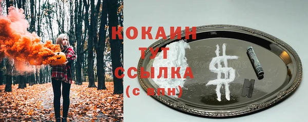 экстази Гусь-Хрустальный